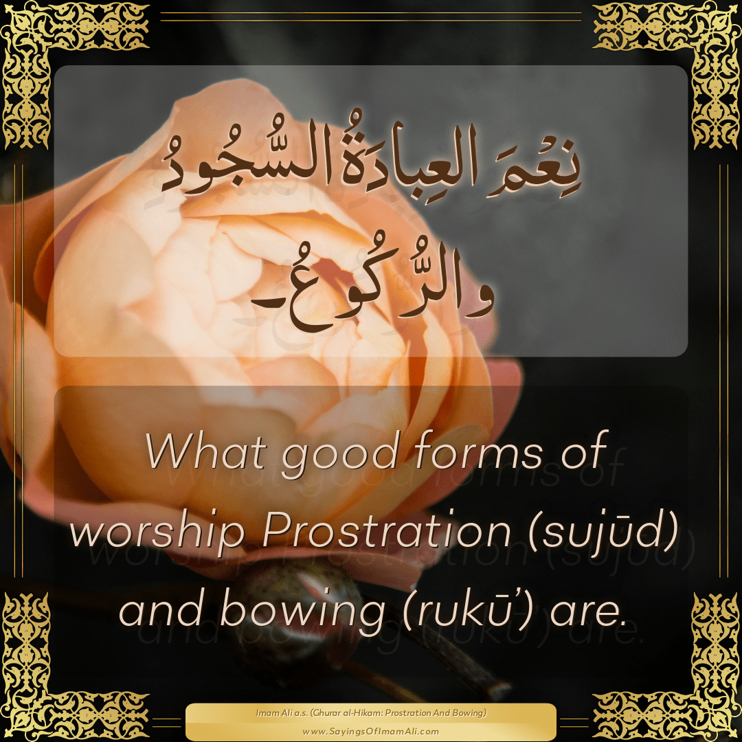 What good forms of worship Prostration (sujūd) and bowing (rukū’) are.